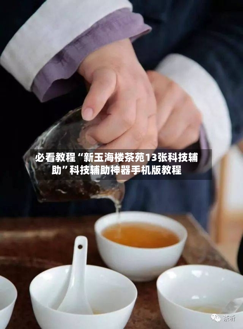 必看教程“新玉海楼茶苑13张科技辅助	”科技辅助神器手机版教程-第3张图片