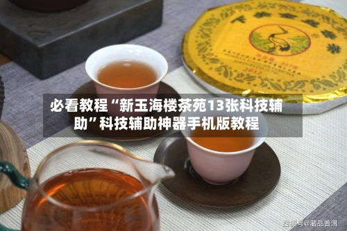 必看教程“新玉海楼茶苑13张科技辅助”科技辅助神器手机版教程-第2张图片