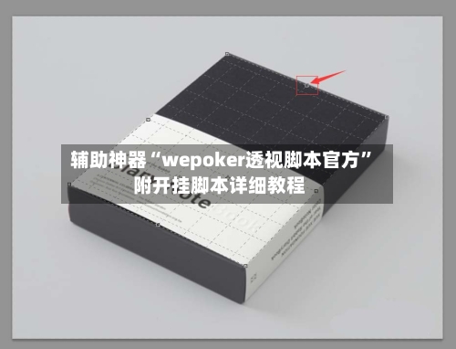 辅助神器“wepoker透视脚本官方”附开挂脚本详细教程-第2张图片