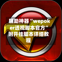 辅助神器“wepoker透视脚本官方”附开挂脚本详细教程-第3张图片