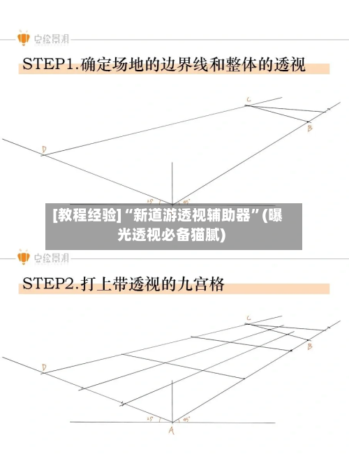 [教程经验]“新道游透视辅助器”(曝光透视必备猫腻)-第2张图片