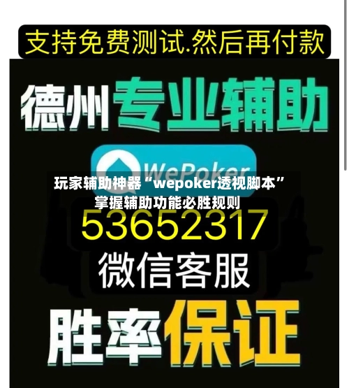 玩家辅助神器“wepoker透视脚本	”掌握辅助功能必胜规则-第2张图片