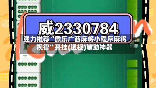 强力推荐“微乐广西麻将小程序麻将规律”开挂(透视)辅助神器-第3张图片