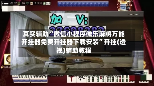 真实辅助“微信小程序微乐麻将万能开挂器免费开挂器下载安装”开挂(透视)辅助教程-第3张图片