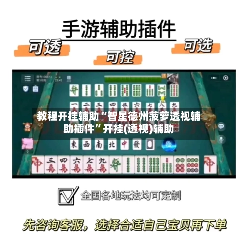 教程开挂辅助“智星德州菠萝透视辅助插件	”开挂(透视)辅助-第2张图片