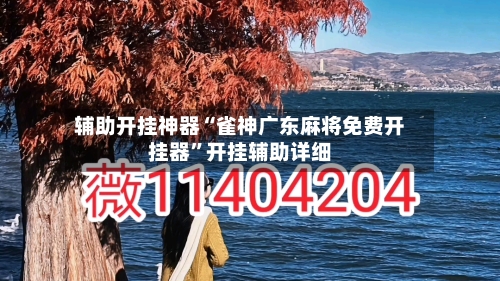 辅助开挂神器“雀神广东麻将免费开挂器	”开挂辅助详细-第2张图片