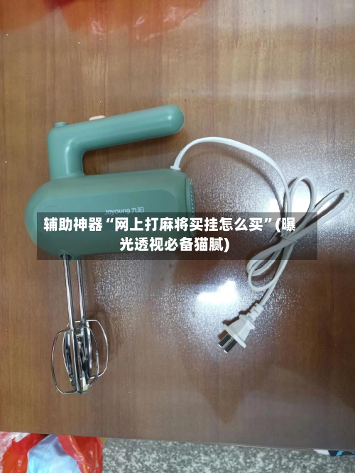 辅助神器“网上打麻将买挂怎么买”(曝光透视必备猫腻)-第2张图片