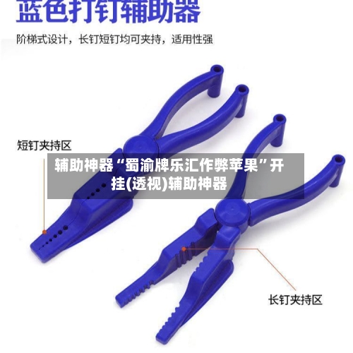 辅助神器“蜀渝牌乐汇作弊苹果”开挂(透视)辅助神器