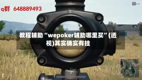 教程辅助“wepoker辅助哪里买”(透视)其实确实有挂-第3张图片