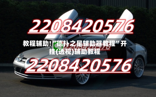 教程辅助!“德扑之星辅助器教程”开挂(透视)辅助教程-第2张图片