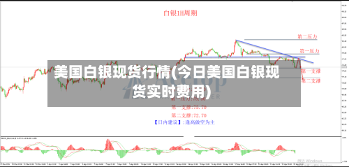 美国白银现货行情(今日美国白银现货实时费用)
