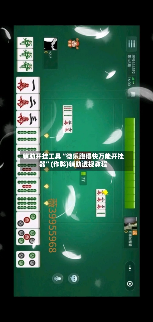 辅助开挂工具“微乐跑得快万能开挂器”(作弊)辅助透视教程-第2张图片