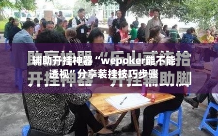 辅助开挂神器“wepoker能不能透视	”分享装挂技巧步骤-第2张图片