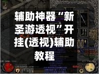 辅助神器“新圣游透视”开挂(透视)辅助教程-第2张图片