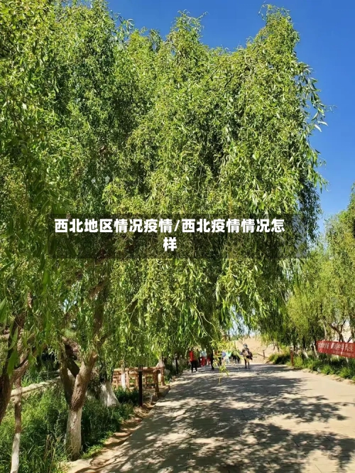 西北地区情况疫情/西北疫情情况怎样-第2张图片