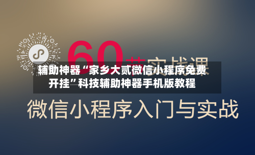 辅助神器“家乡大贰微信小程序免费开挂”科技辅助神器手机版教程-第2张图片