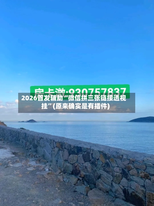 2026首发辅助“微信拼三张链接透视挂”(原来确实是有插件)-第2张图片