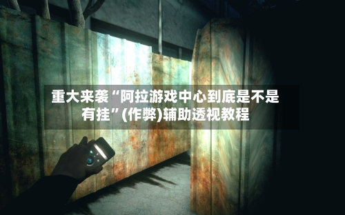 重大来袭“阿拉游戏中心到底是不是有挂”(作弊)辅助透视教程-第3张图片