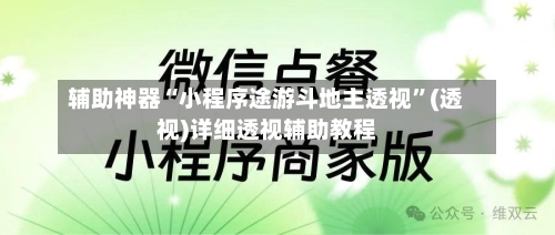 辅助神器“小程序途游斗地主透视”(透视)详细透视辅助教程-第3张图片