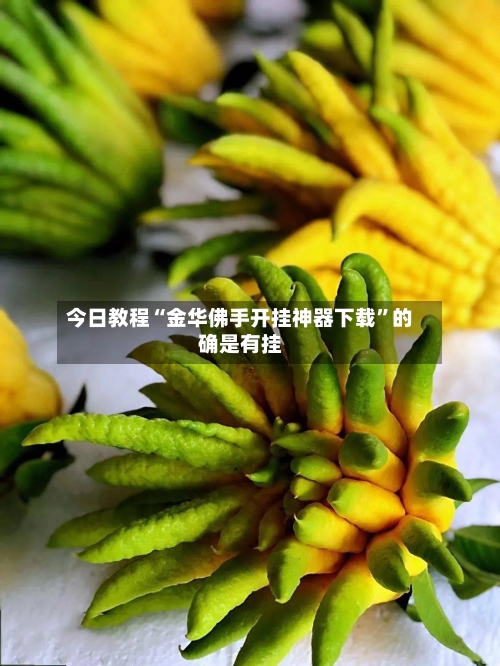 今日教程“金华佛手开挂神器下载	”的确是有挂-第2张图片