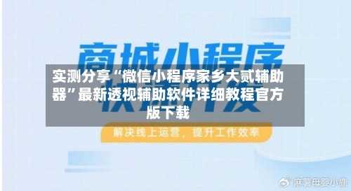 实测分享“微信小程序家乡大贰辅助器	”最新透视辅助软件详细教程官方版下载-第2张图片