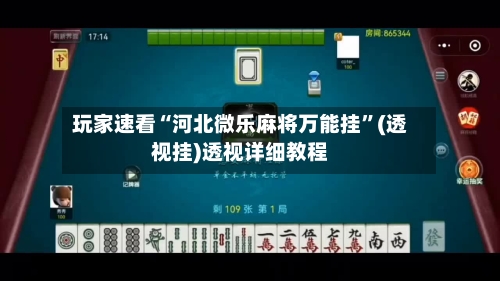 玩家速看“河北微乐麻将万能挂”(透视挂)透视详细教程-第3张图片