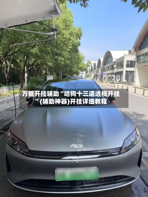 万能开挂辅助“哈狗十三道透视开挂”(辅助神器)开挂详细教程-第3张图片