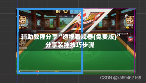 辅助教程分享“透视看牌器(免费版)”分享装挂技巧步骤-第3张图片