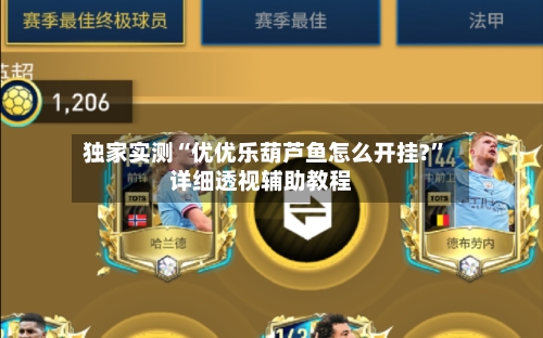 独家实测“优优乐葫芦鱼怎么开挂?	”详细透视辅助教程-第2张图片