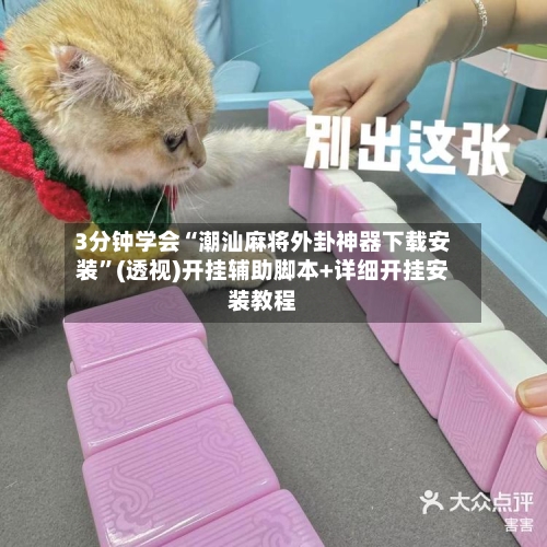 3分钟学会“潮汕麻将外卦神器下载安装	”(透视)开挂辅助脚本+详细开挂安装教程-第3张图片