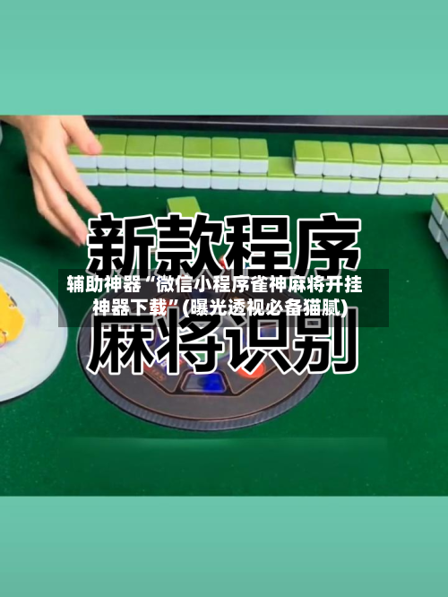 辅助神器“微信小程序雀神麻将开挂神器下载”(曝光透视必备猫腻)-第2张图片