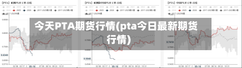 今天PTA期货行情(pta今日最新期货行情)-第2张图片