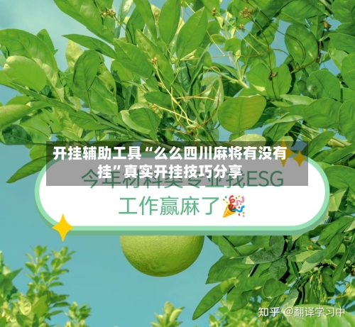 开挂辅助工具“么么四川麻将有没有挂”真实开挂技巧分享-第2张图片