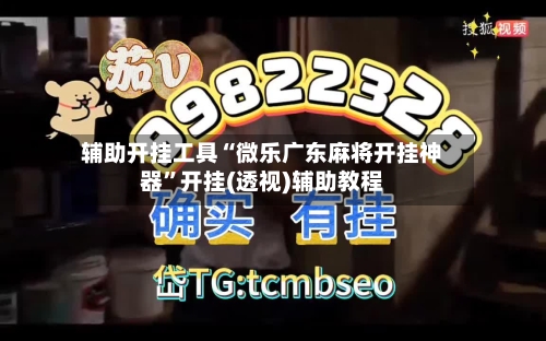 辅助开挂工具“微乐广东麻将开挂神器”开挂(透视)辅助教程-第3张图片