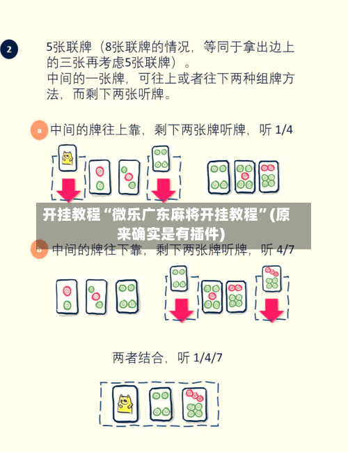 开挂教程“微乐广东麻将开挂教程”(原来确实是有插件)-第3张图片