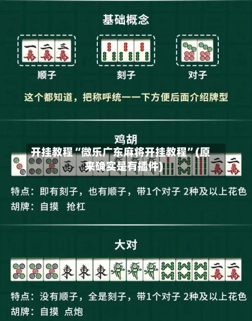 开挂教程“微乐广东麻将开挂教程	”(原来确实是有插件)-第2张图片