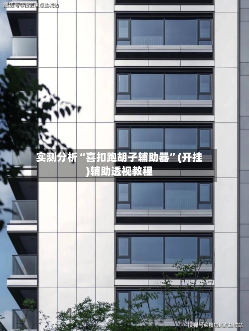 实测分析“喜扣跑胡子辅助器”(开挂)辅助透视教程-第3张图片