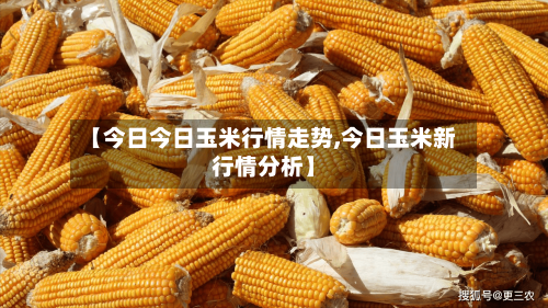 【今日今日玉米行情走势,今日玉米新行情分析】
