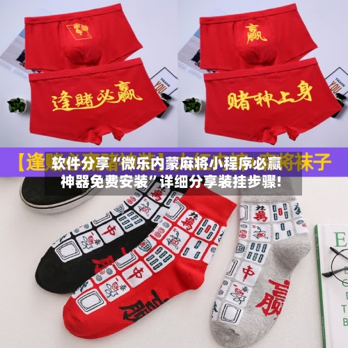 软件分享“微乐内蒙麻将小程序必赢神器免费安装”详细分享装挂步骤!-第3张图片