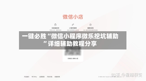 一键必胜“微信小程序微乐挖坑辅助	”详细辅助教程分享-第2张图片