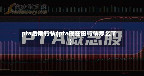 pta后期行情(pta现在的行情怎么了)-第2张图片