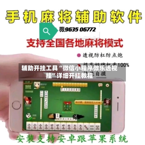 辅助开挂工具“微信小程序微乐透视挂”详细开挂教程-第2张图片