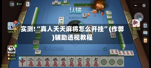实测!“真人天天麻将怎么开挂”(作弊)辅助透视教程-第3张图片