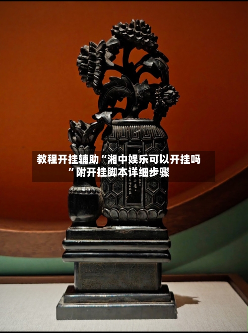 教程开挂辅助“湘中娱乐可以开挂吗”附开挂脚本详细步骤