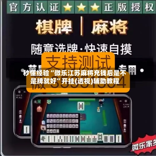 秒懂经验“微乐江苏麻将充钱后是不是牌就好”开挂(透视)辅助教程-第2张图片