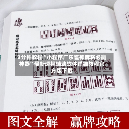 3分钟教程“小程序广东雀神麻将必赢神器”最新透视辅助软件详细教程官方版下载-第3张图片