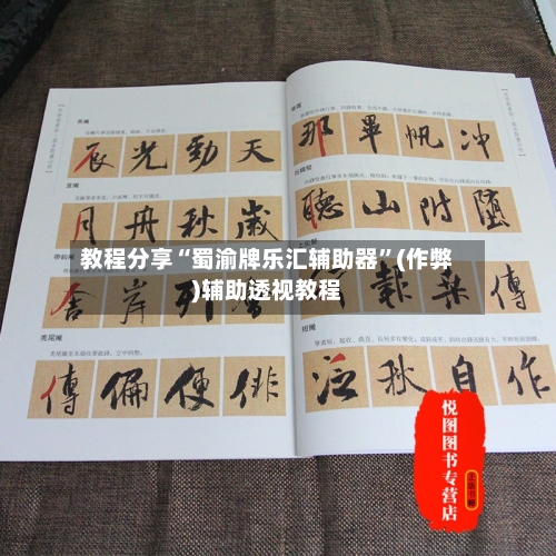 教程分享“蜀渝牌乐汇辅助器”(作弊)辅助透视教程