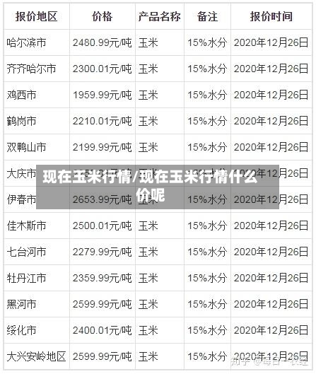 现在玉米行情/现在玉米行情什么价呢-第2张图片
