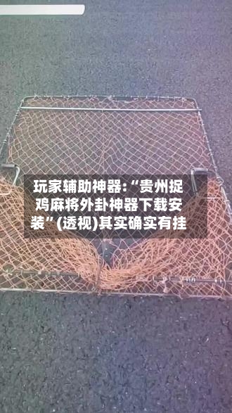 玩家辅助神器:“贵州捉鸡麻将外卦神器下载安装	”(透视)其实确实有挂-第2张图片