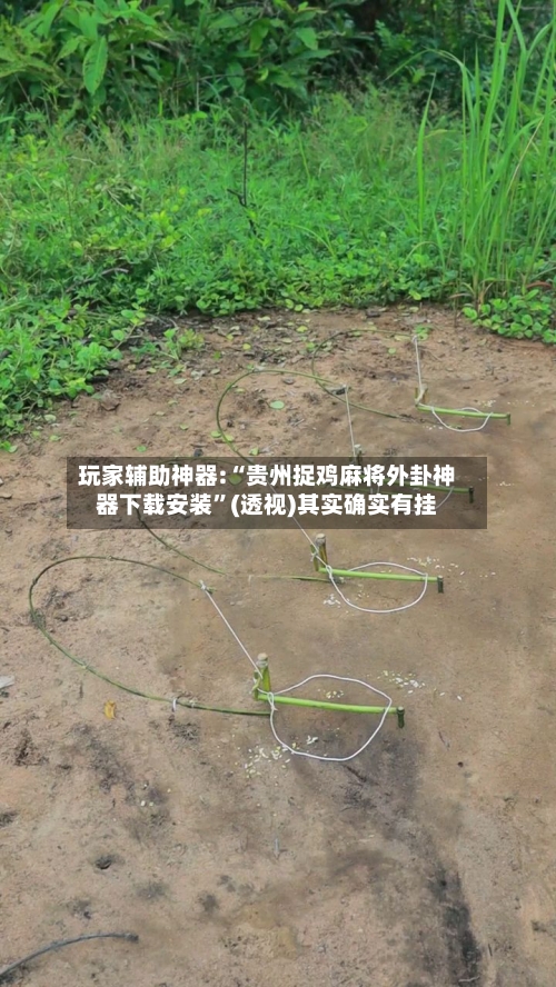 玩家辅助神器:“贵州捉鸡麻将外卦神器下载安装”(透视)其实确实有挂-第3张图片
